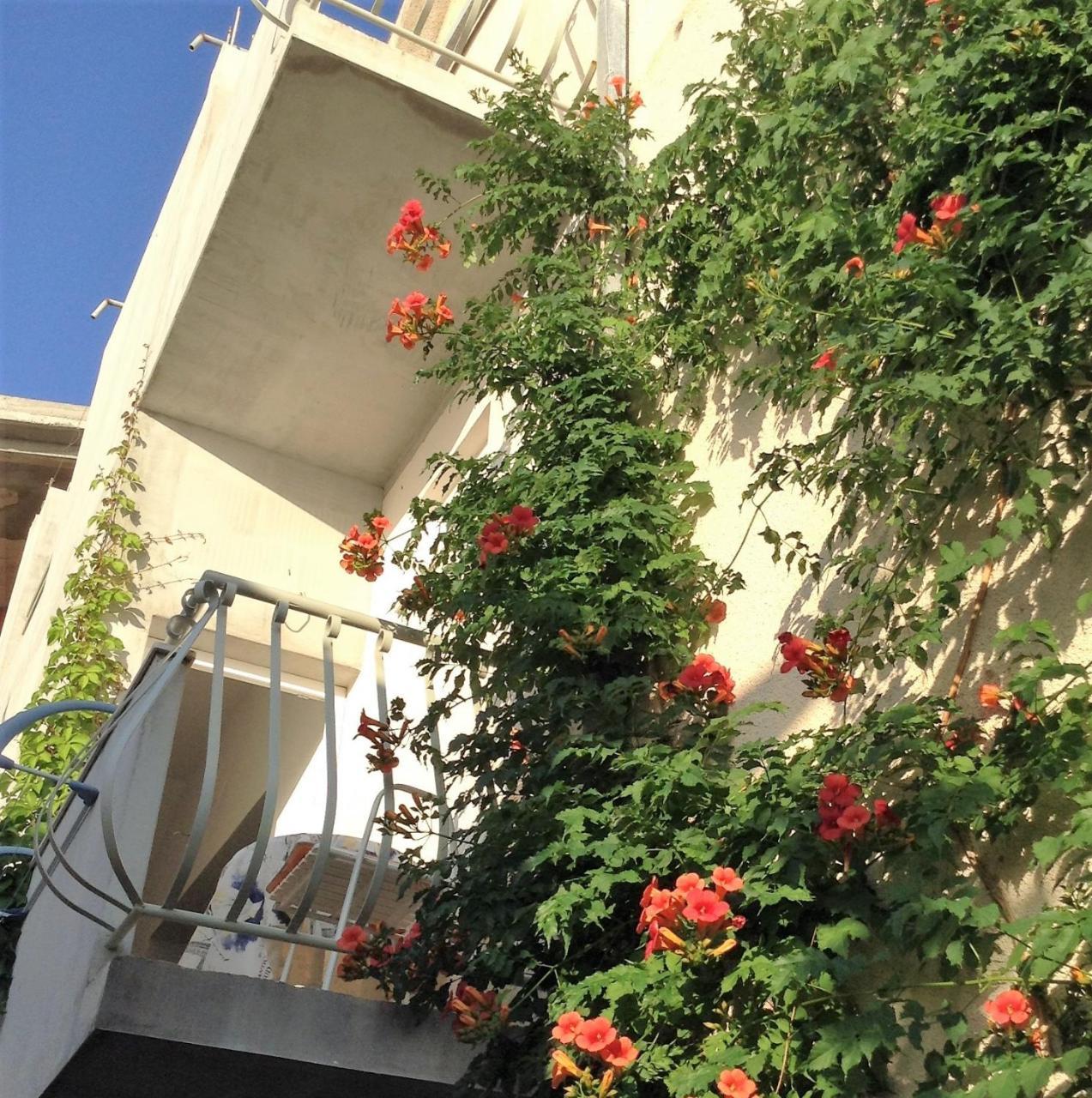 Apartments Leut Drasnice Cameră foto